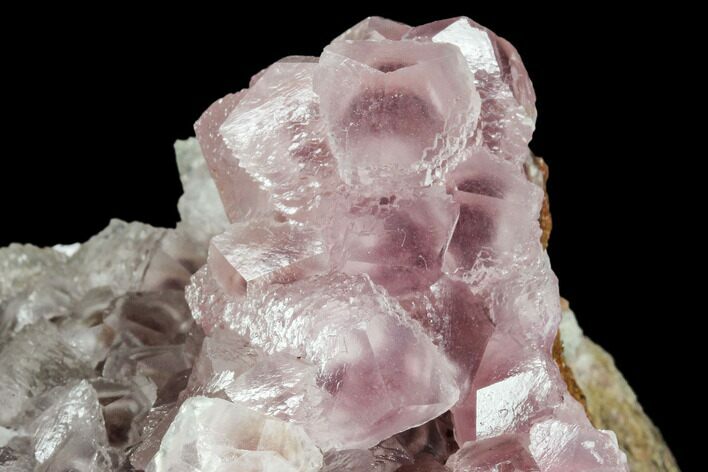 Cobaltoan Calcite Crystal Cluster - Bou Azzer, Morocco #108747